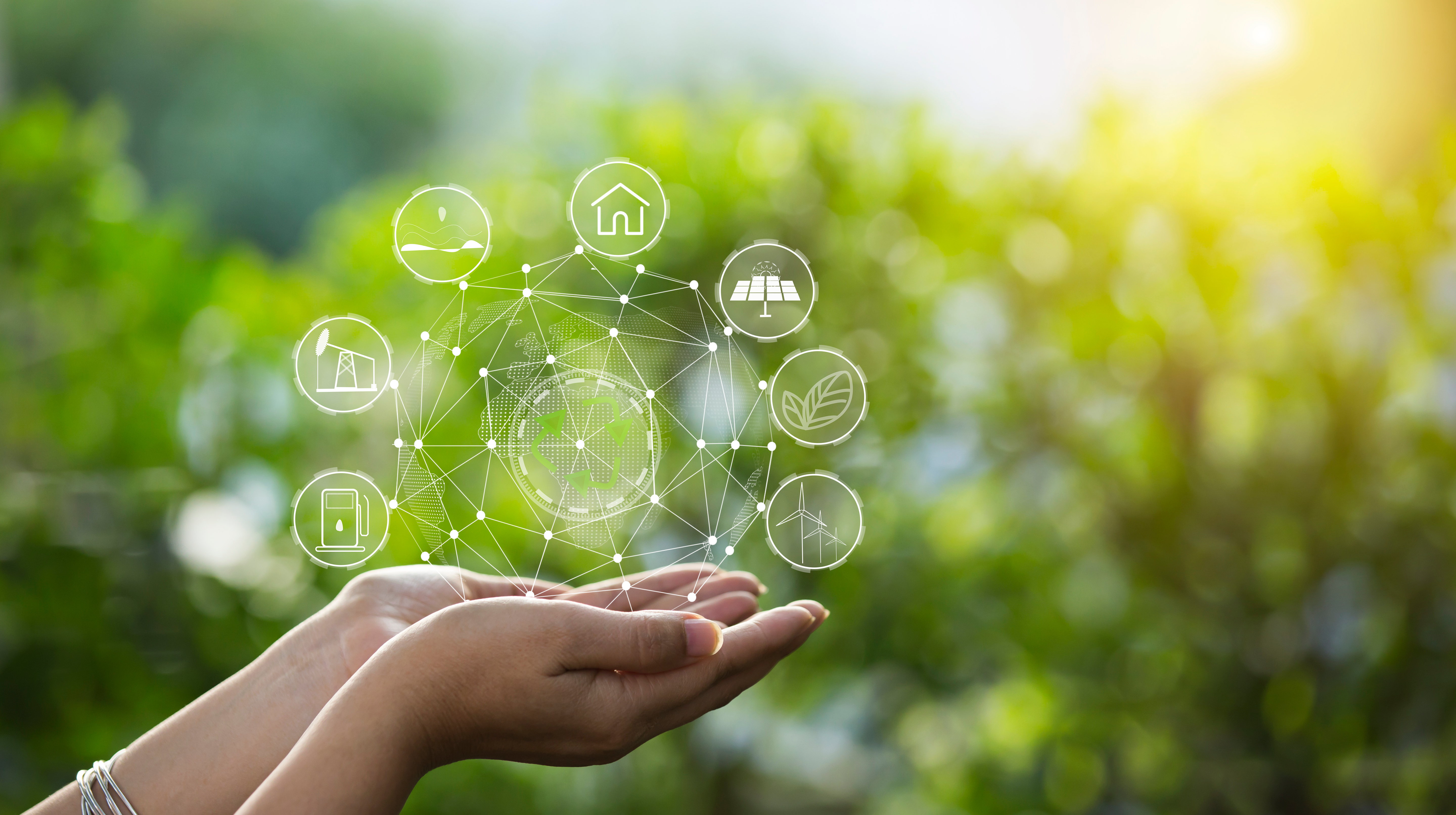 Spirale Dynamique, le stade systémique jaune