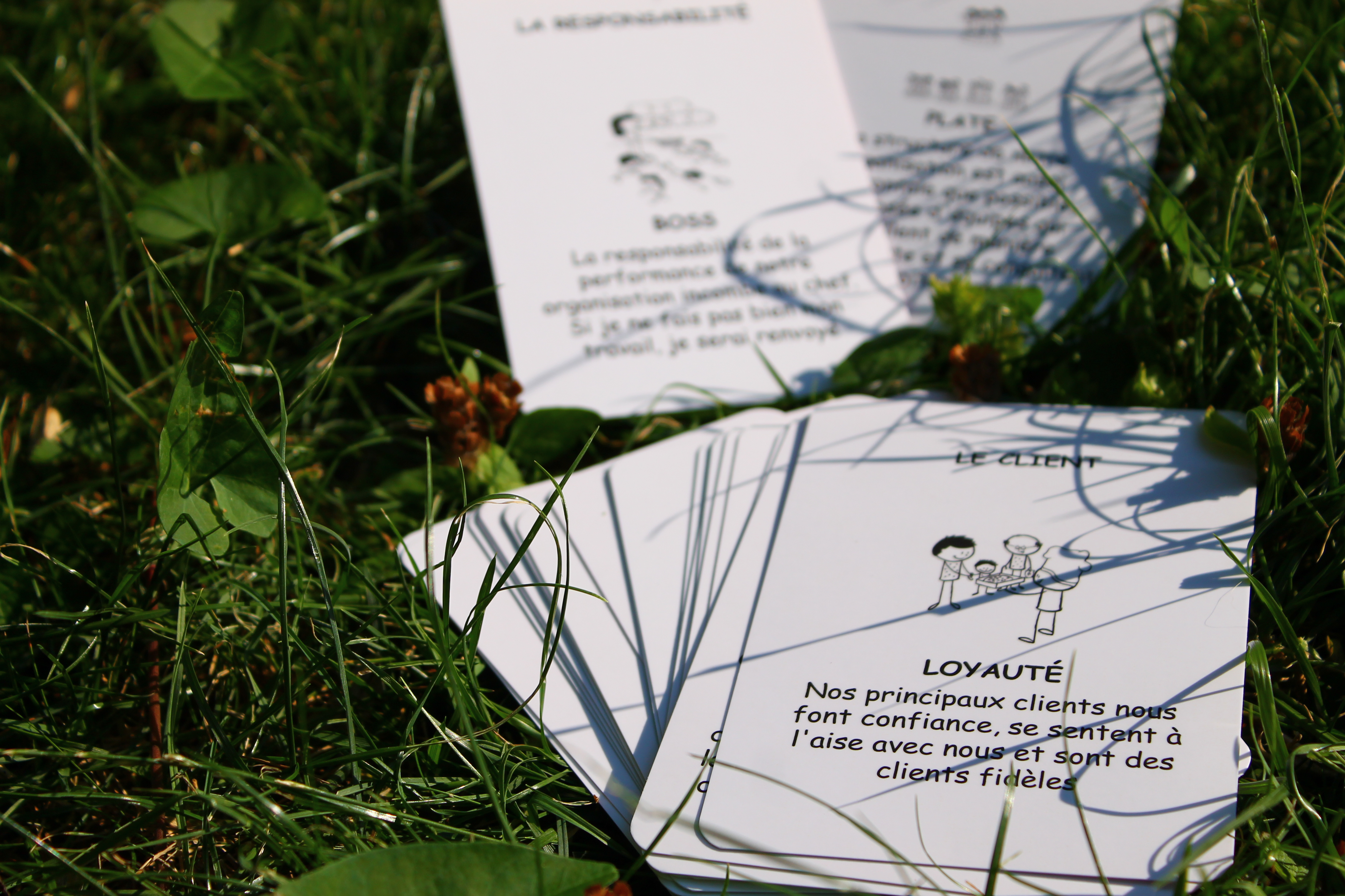 Un jeu de carte pour coacher et interroger les équipes avec la spirale dynamique